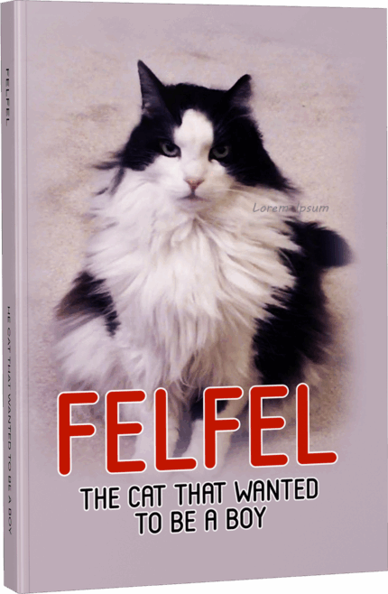 felfel (Ebook)